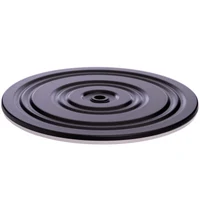 Disc "Sanatate" metal 1.1 cm, d=28 cm SP-6578 (5113) 3