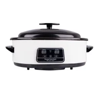 Нагреватель лавовых камней inSPORTline PRO 17159 (3659)
