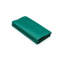 Saltea masaj acupunctura Lyapko "Shans" 475х235 mm 6.2х4 Ag (5118) 5