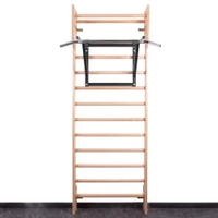 Bara tractiuni pt spalier (max. 150 kg) inSPORTline LCR-1115 18410 (6556) 5