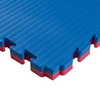 Tatami mat Eva Puzzle 1x1 m, 4 cm, 80 kg/m3 inSPORTline Malmeida 25287-2/5 red-blue (10248) 3