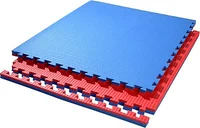 Татами мат Eva Puzzle 1х1 м, 2 см, 110 кг/м3 blue-red (2455)