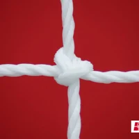 Сетка для футбола (2 шт.) 3.1х2.1х1х1 м, нить 3.5 мм, ячейка 12 мм Fabrica de Plase 535 (7884) 2