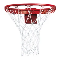 Inel pt baschet d=48 cm + plasa Sure Shot Flex Goal Pro 277 (8688)