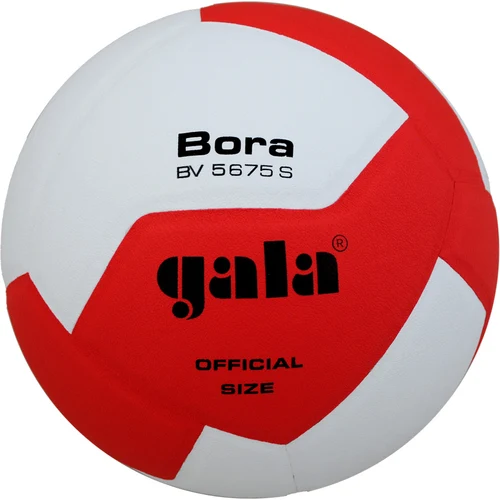 Minge volei Gala Bora 5675 (140)