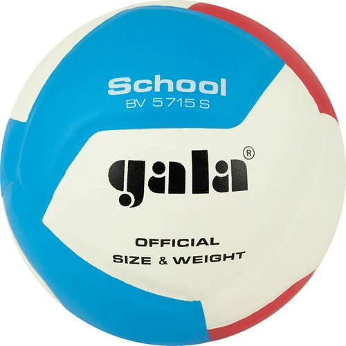 Minge volei Gala School 5715 (10541)
