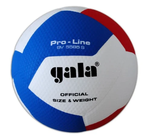 Minge volei Gala Pro-Line 5585 (9768)