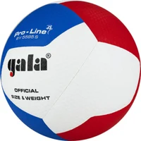Minge volei Gala Pro-Line FIVB Approved 5595 (8999) 2