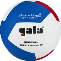 Minge volei Gala Pro-Line FIVB Approved 5595 (8999)