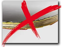 Ракетка для настольного тенниса Donic Protection Line S600 / 723056, 1.7 mm (3209) 2