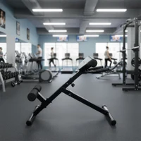 Banca hyperextensie (max. 100 kg) inSPORTline ON-X RC 20 29271 (13160) 2
