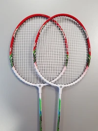 Palete badminton  cu husa (2 buc.) Spartan 2079 (3615) 2